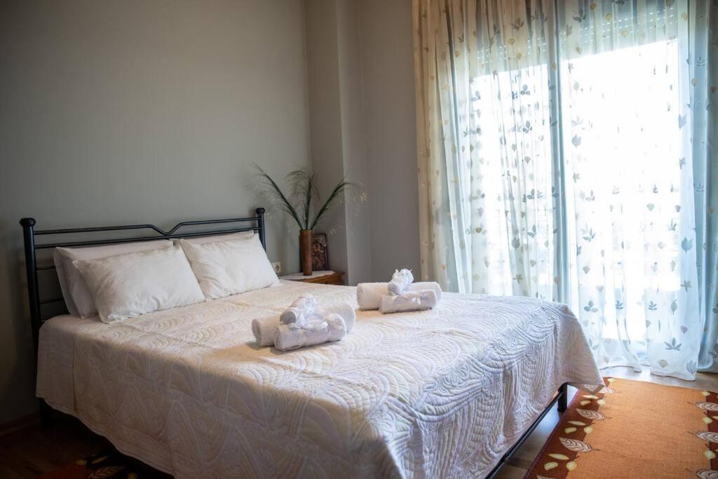 Apartment House Tríkala