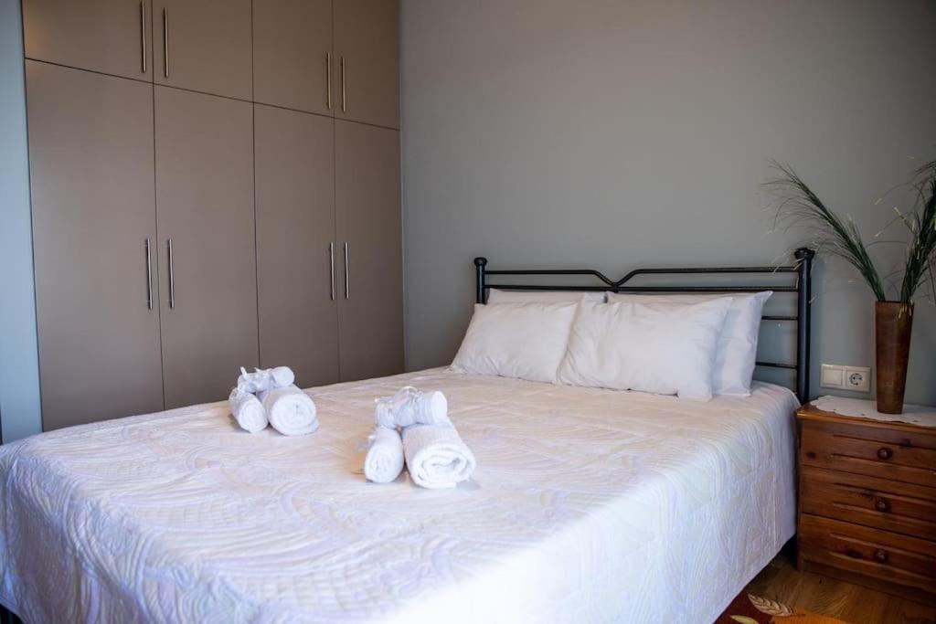 Appartement House