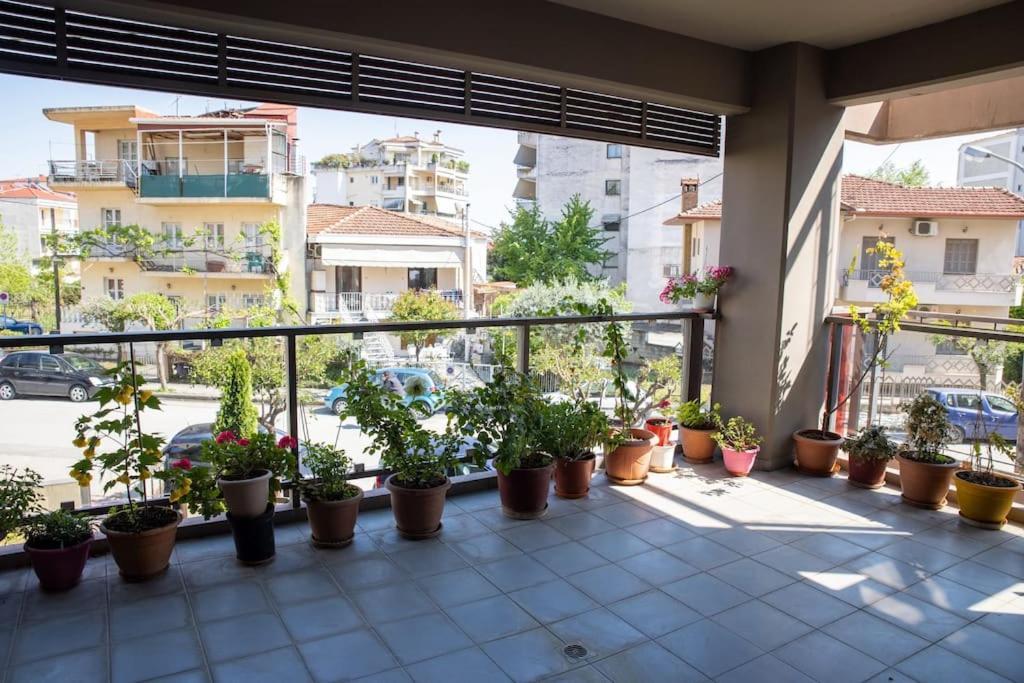House Tríkala